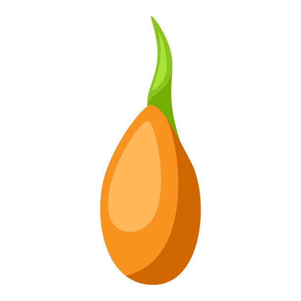 发芽、种子、植物、园艺或图片下载