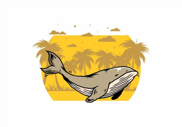 海洋大鲸鱼的插图图片下载