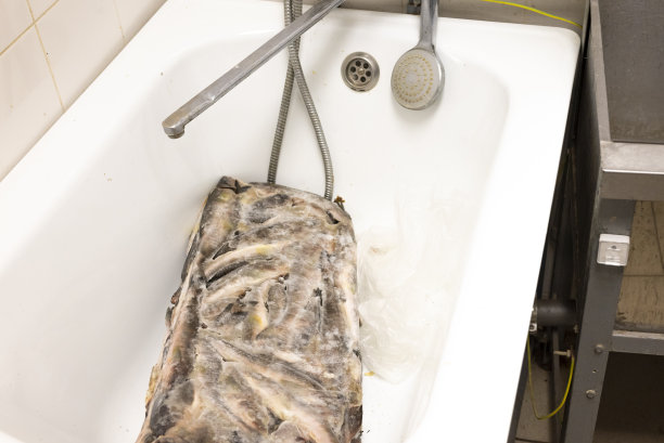 解冻冻鱼图片下载