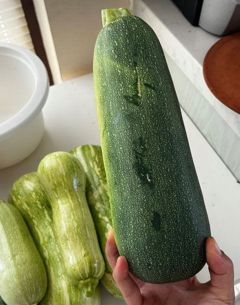 大而有机的南瓜在手图片下载