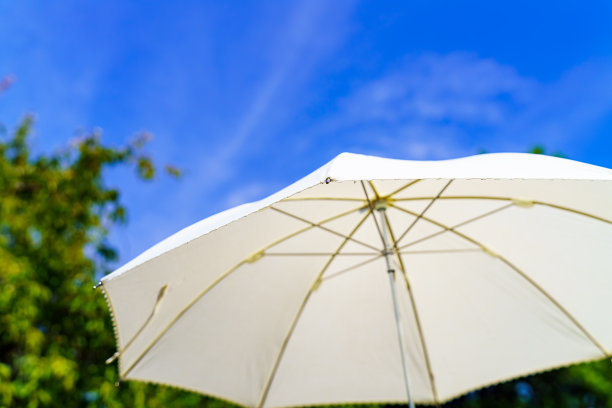 夏日阳光下的白色阳伞图片下载