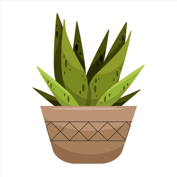 陶罐上有一朵绿叶尖尖的花图片下载