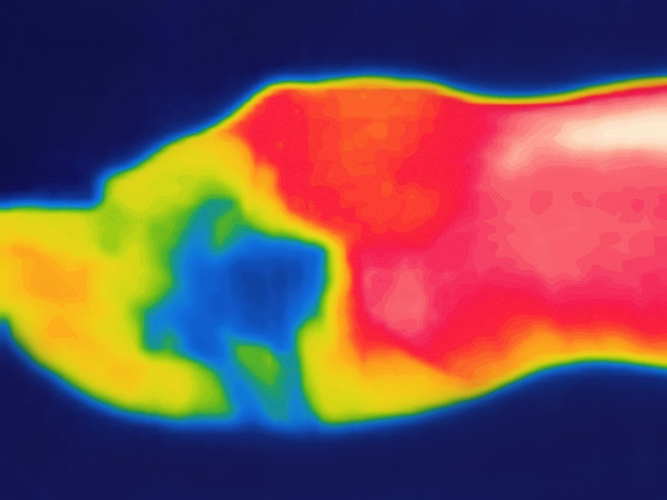 纯冷的水从溪流在手掌图片下载