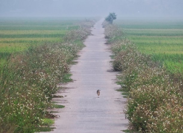 与自然和平相处图片下载