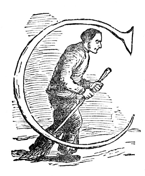 字母C代表清洁杂务，男人拖把图片下载