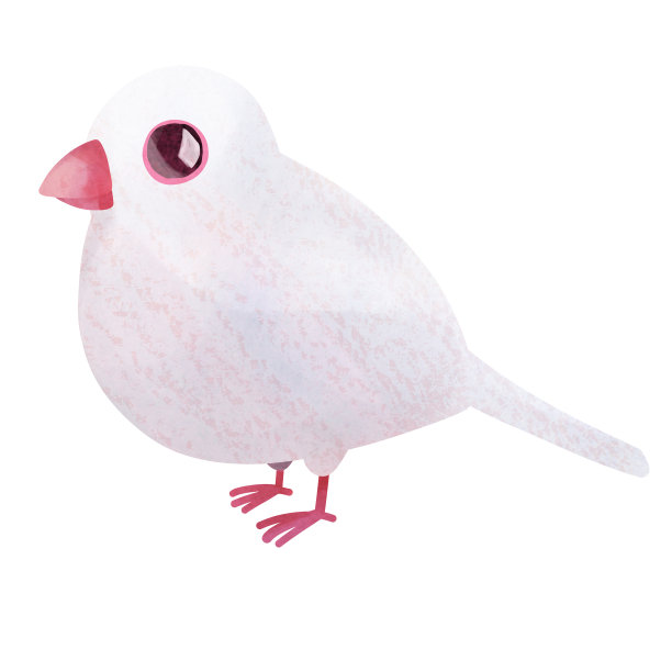 一只纯白的爪哇麻雀图片下载