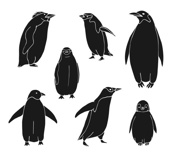 设置一束手绘企鹅图片下载