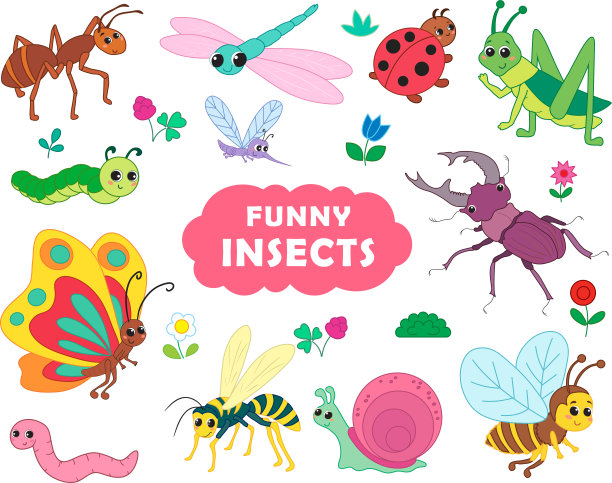 一组昆虫在一个有趣的卡通风格。图片下载
