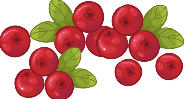 蔓越莓用树叶图片下载