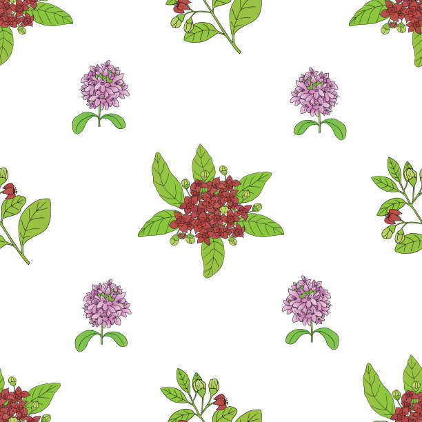 无缝模式与桑达拉木和提姆扬图片下载