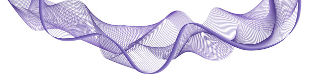 紫色波浪，漩涡，嗖嗖。动态起伏平滑流动波。空气风透明面纱。现代广告设计。孤立的曲线线在白色背景。矢量图图片下载
