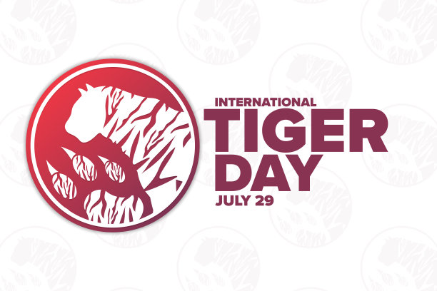 国际老虎的一天。7月29日。节日的概念。模板背景，横幅，卡片，与文字铭文海报。向量EPS10插图。图片下载