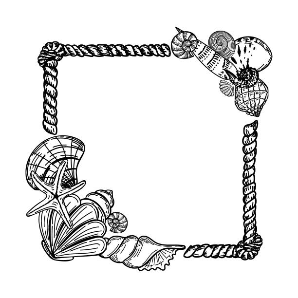 一个航海风格的框架，手绘涂鸦元素在素描风格。海洋生物。绳结。Sea-Ocean。模板的照片，社交媒体和海报。图片下载