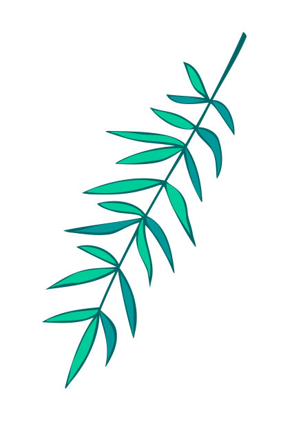 矢量轮廓绿色香料迷迭香小枝在涂鸦平风格。剪贴艺术为厨房，包装和包装纸的设计，菜单，餐厅，产品图片下载