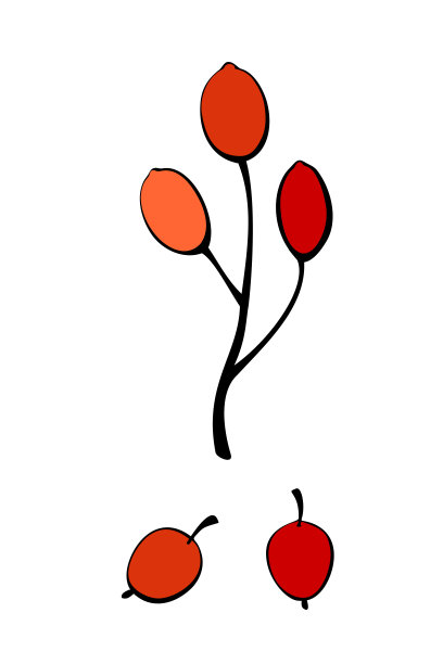 矢量抽象小枝与红色浆果在平面涂鸦风格。植物剪贴画，明信片的设计元素，邀请，创造标志或横幅。图片下载