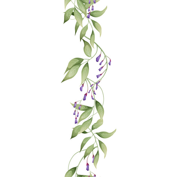 垂直无缝边界与紫色紫藤。亚洲的植物。植物花卉插图婚礼设计，墙纸，广告。图片下载