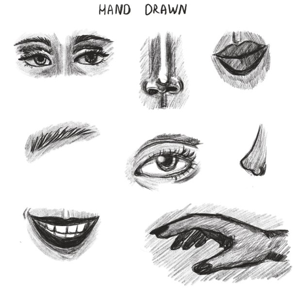 身体的部分，设置手绘孤立在白色背景上图片下载