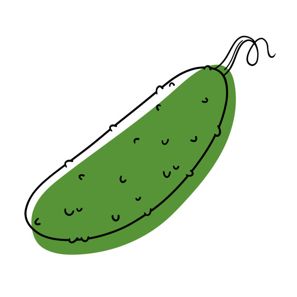 绿色的黄瓜。程式化的平坦的蔬菜。黄瓜的轮廓线。黄瓜向量。图片下载