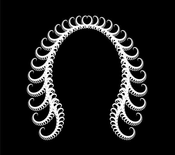 抽象羽毛花发型假发图片下载