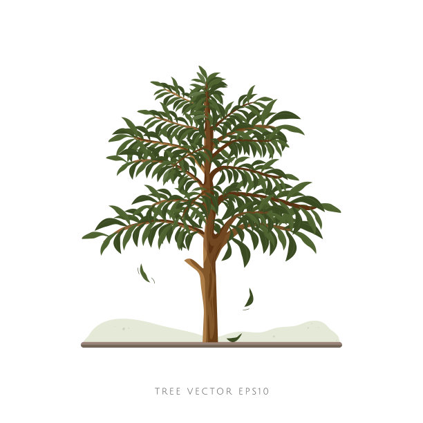 树矢量插图与树枝和树叶在白色背景图片下载