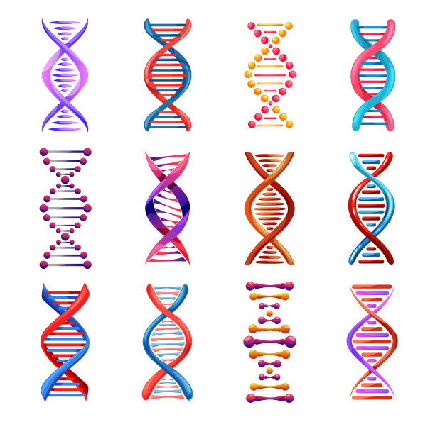 脱氧核糖核酸（DNA）螺旋图标医学遗传学符号图片下载