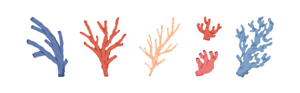 海洋和海洋珊瑚设置海洋水下植物图片下载