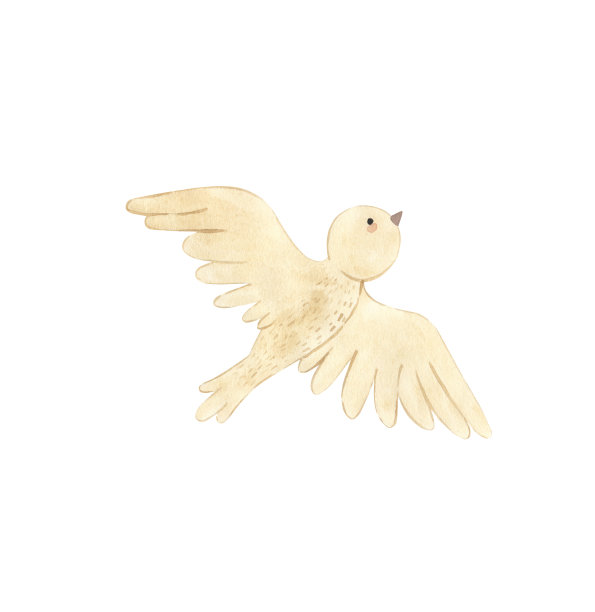 水彩的鸟。儿童林地动物插图图片下载