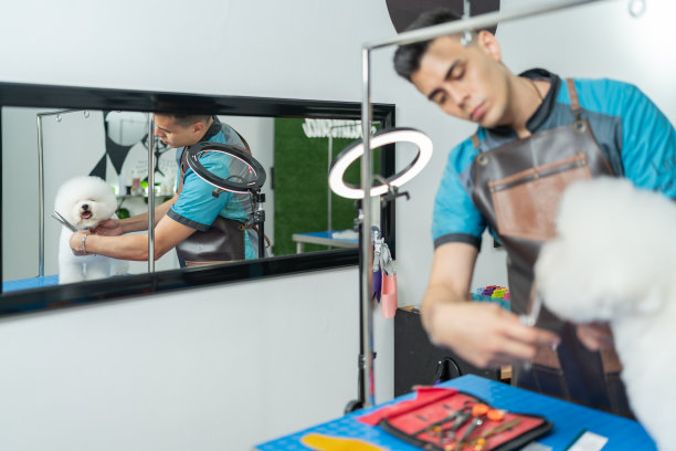 一个男人在狗沙龙里给狗理发，镜子里的倒影图片下载