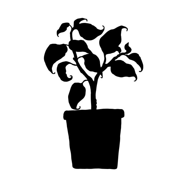 剪影室内盆栽植物图片下载