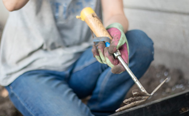园丁耙地以备种植。在花园里干活女人的手戴着手套，拿着园艺工具，松土，照顾和种植园艺植物。在花园里种一株植物。图片下载