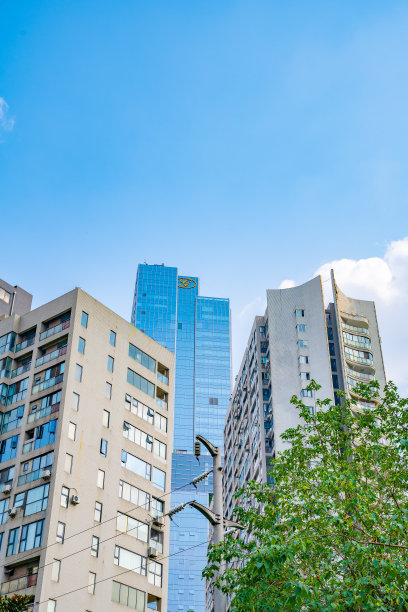 阳光明媚的现代住宅和树木图片下载