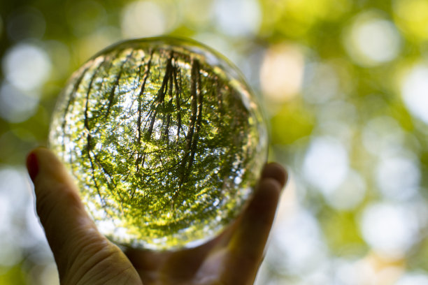 自然的外在和内在。关注自然和气候，将自然包裹在一个发光的水晶球中。图片下载