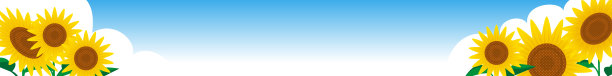 网页横幅设计与向日葵插图。图片下载