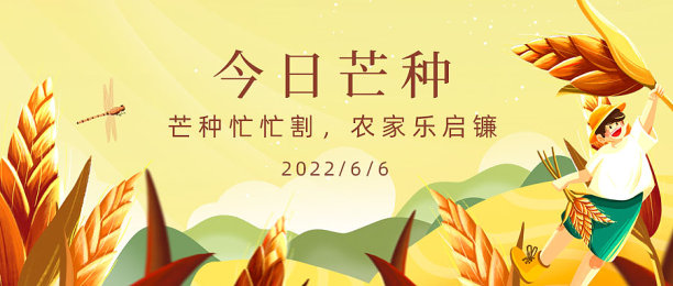 黄色插画芒种节气公众号封面首图图片下载