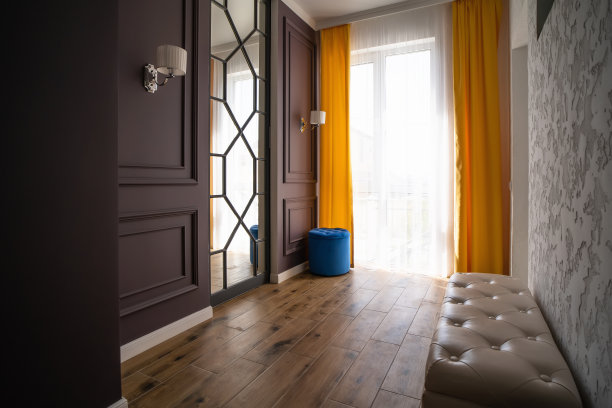 现代化的住宅入口大厅或走廊，大窗户和窗帘，镜子，内置衣柜和沙发图片下载