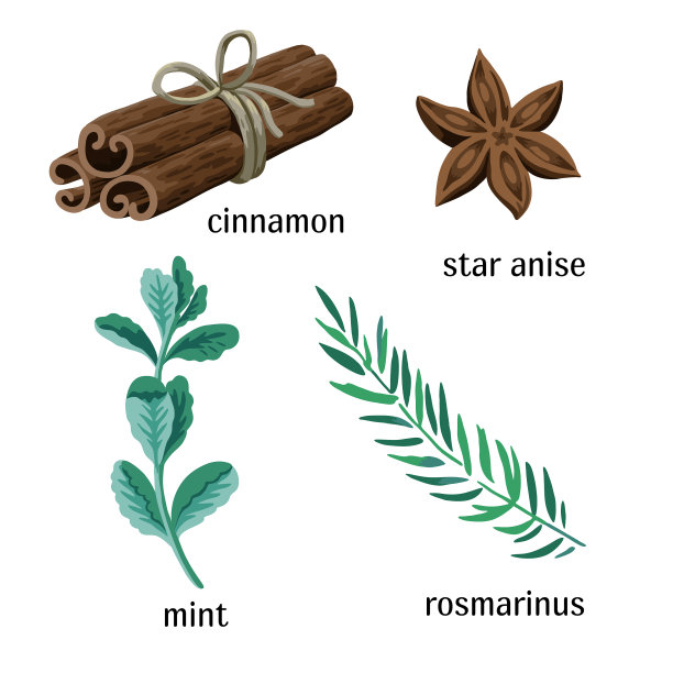 说明香料和香草肉桂图片下载