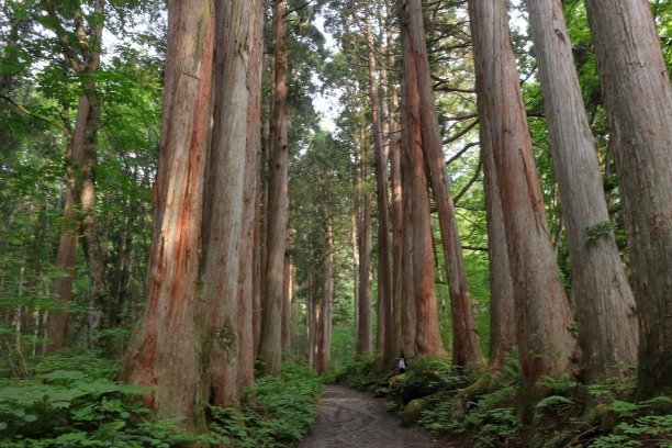日本外宿的风景图片下载