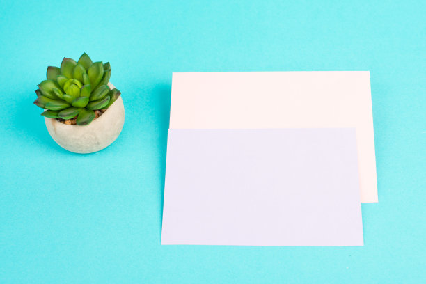 空纸上有一支笔和一棵仙人掌，有质感的背景，头脑风暴寻找新想法，写一条信息，休息一下，在家办公图片下载