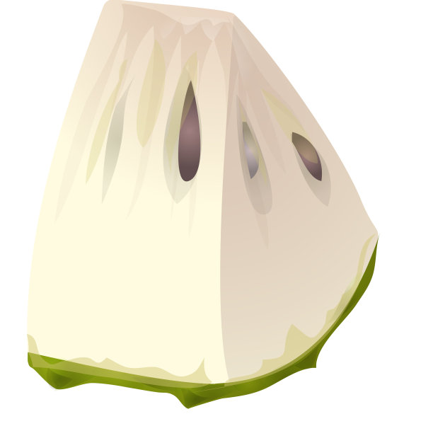 切片soursop图标卡通graviola果汁图片下载