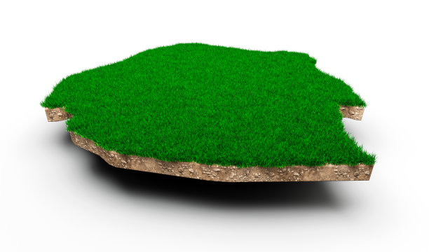 Eswatini地图土壤土地地质剖面图与绿草和岩石地面纹理3d插图图片下载