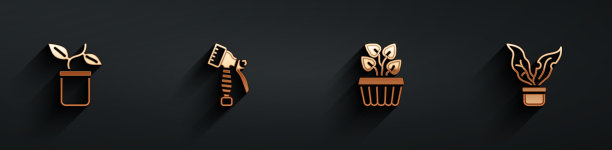 盆栽、喷水瓶、室内盆栽图片下载