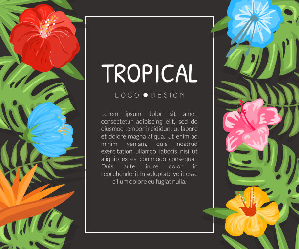 热带花和叶卡设计与蕨类和木槿矢量模板图片下载