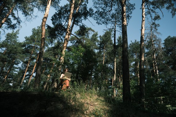 一个晴朗炎热的夏天，女人在森林里的笔记本电脑上工作图片下载