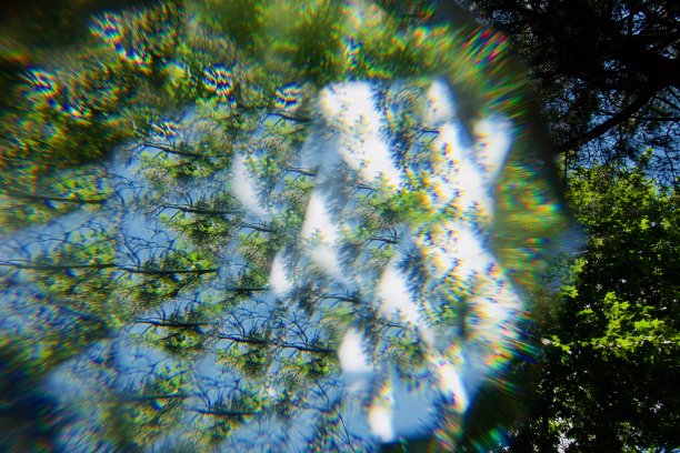 树、云、天空都有钻石图片下载