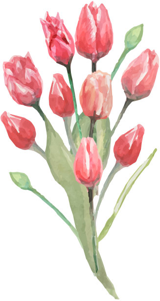 花束郁金香3月8日春季假期图片下载