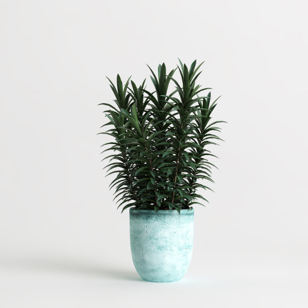 室内盆栽孤立在白色背景的3d插图图片下载