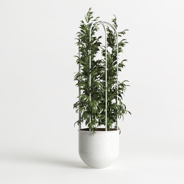 室内盆栽孤立在白色背景的3d插图图片下载