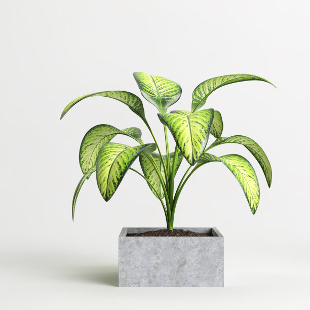 室内盆栽孤立在白色背景的3d插图图片下载