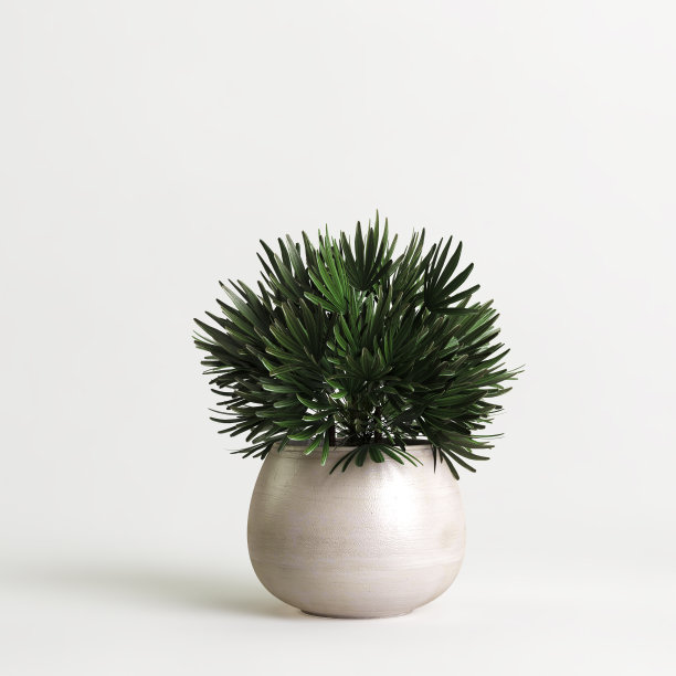 室内盆栽孤立在白色背景的3d插图图片下载