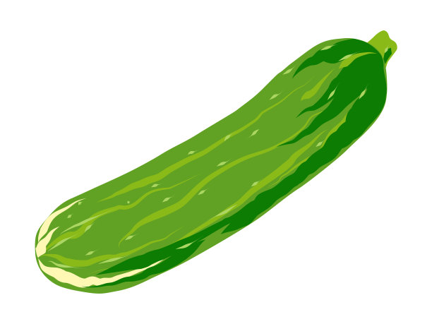 黄瓜图标成熟的绿色蔬菜卡通画图片下载